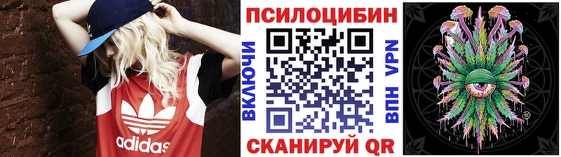 Галлюциногенные грибы Psilocybe  Купить закладки  Южно-Сухокумск 